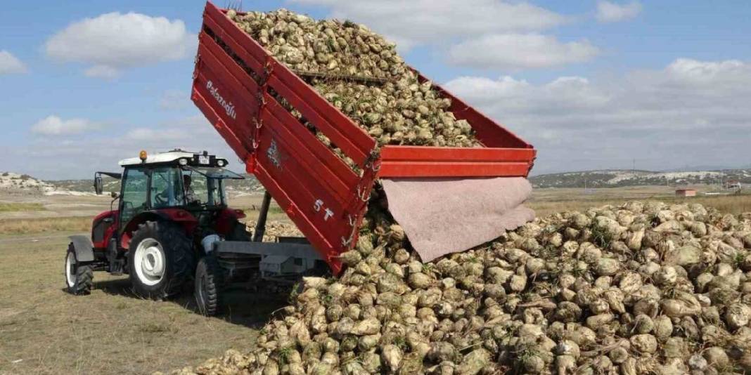 Kuraklık burayı etkilemedi, üretim yüzleri güldürdü! 1200 çiftçinin geçim kaynağı: Fabrikalar 2.100 TL’den alıyor 5